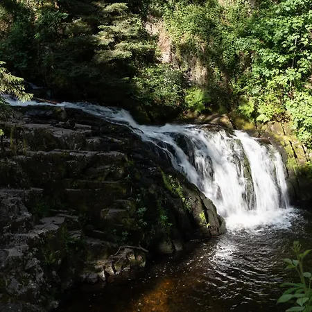 Séjour à la campagne Au Petit Cabanon - Bain Nordique